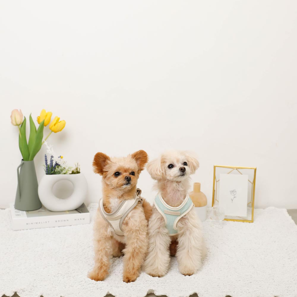 Bicolor Harness + Lead SET [Name embroidery available]