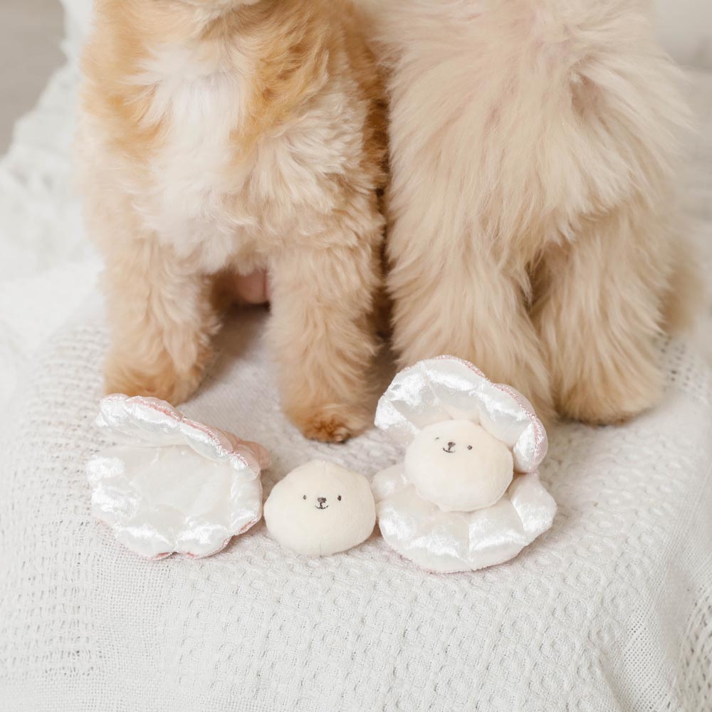 seashell nosework toy