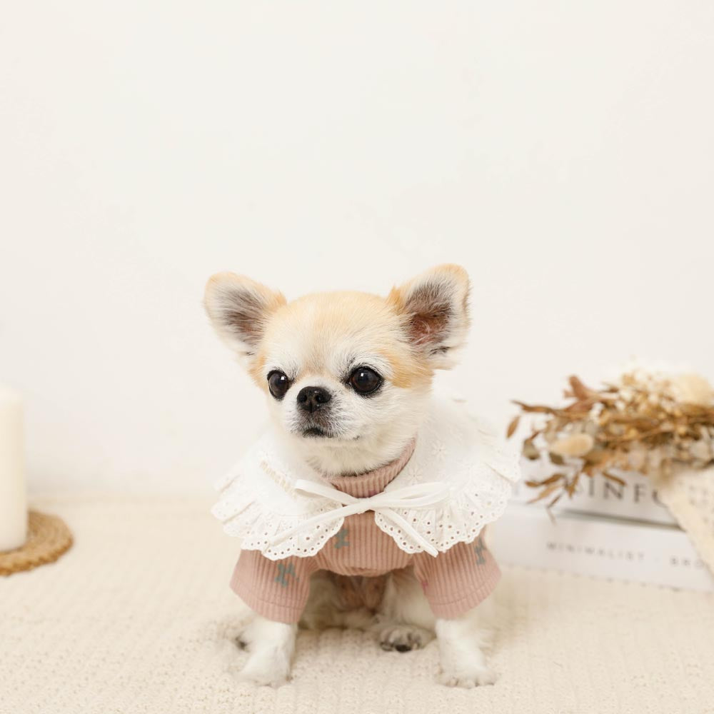 1434.わんこファースヌード　つけ襟マフラー　ハンドメイド　犬服 コットンレースつけ襟【名入れ刺繍対応】