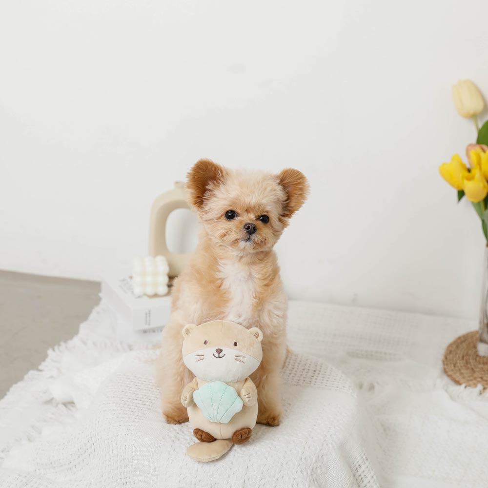 sea otter and seashell toy