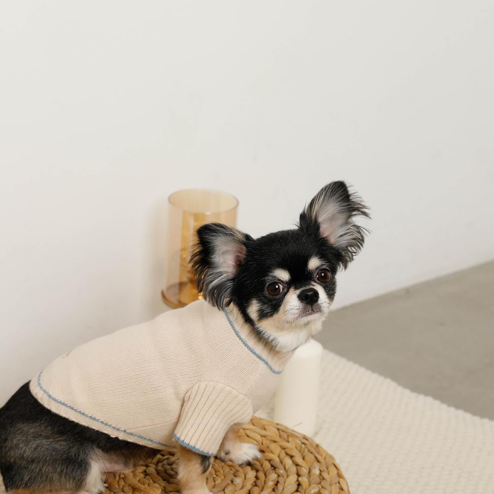 【完売品】モンシェリ　ワンピース2点 ドッグウェア・犬服通販 - monchéri(モンシェリ)