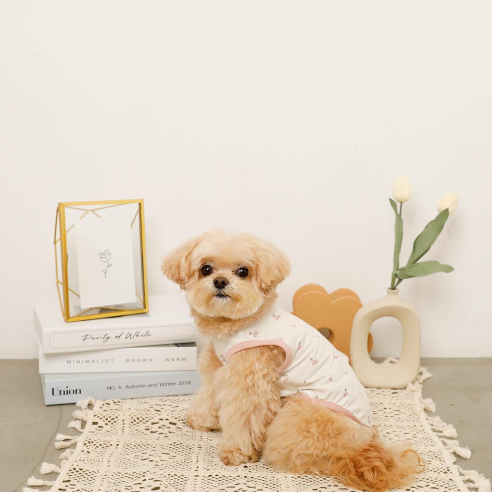 冷感メッシュフルーツ柄トップス