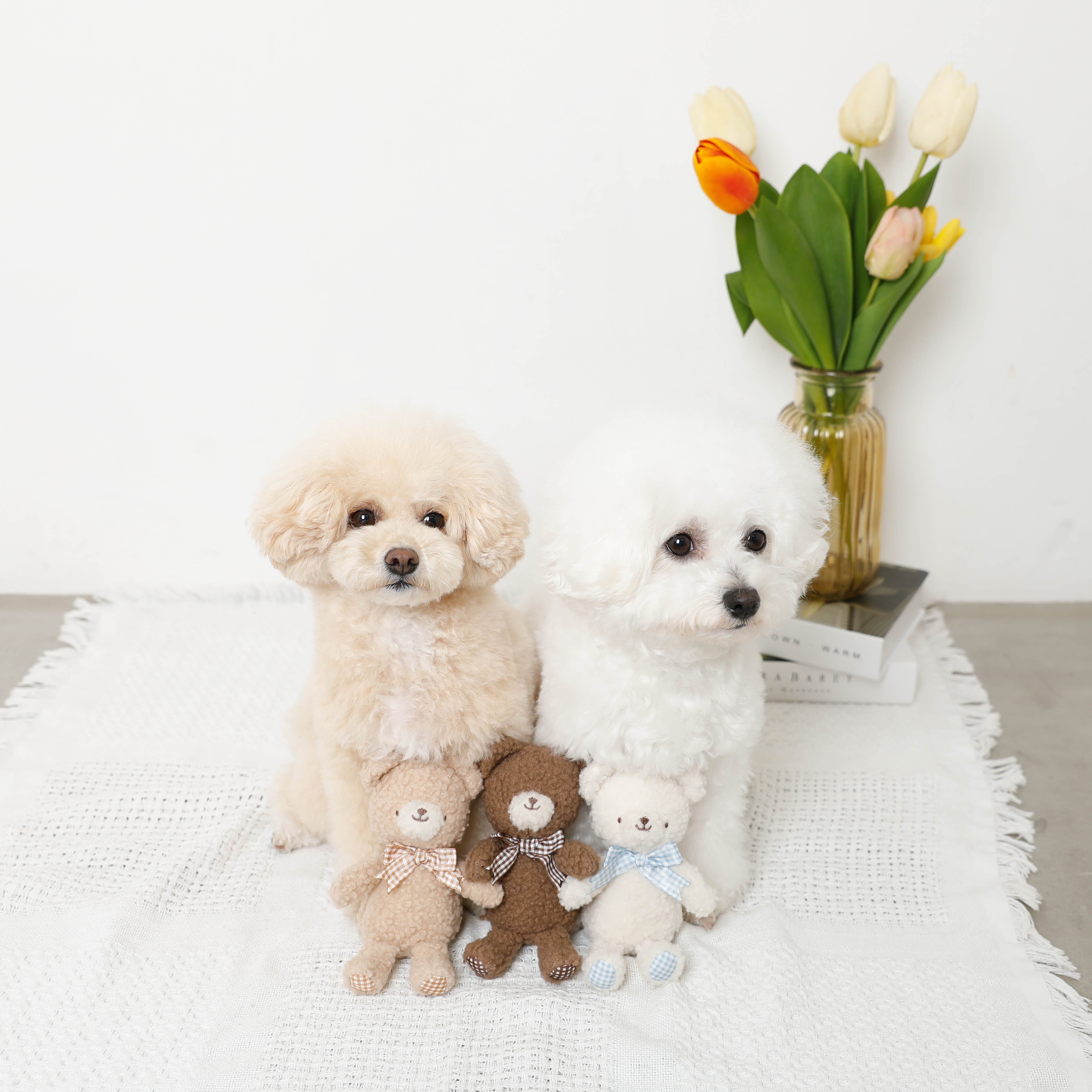 Bear Gingham Check Ribbon Plush Toy