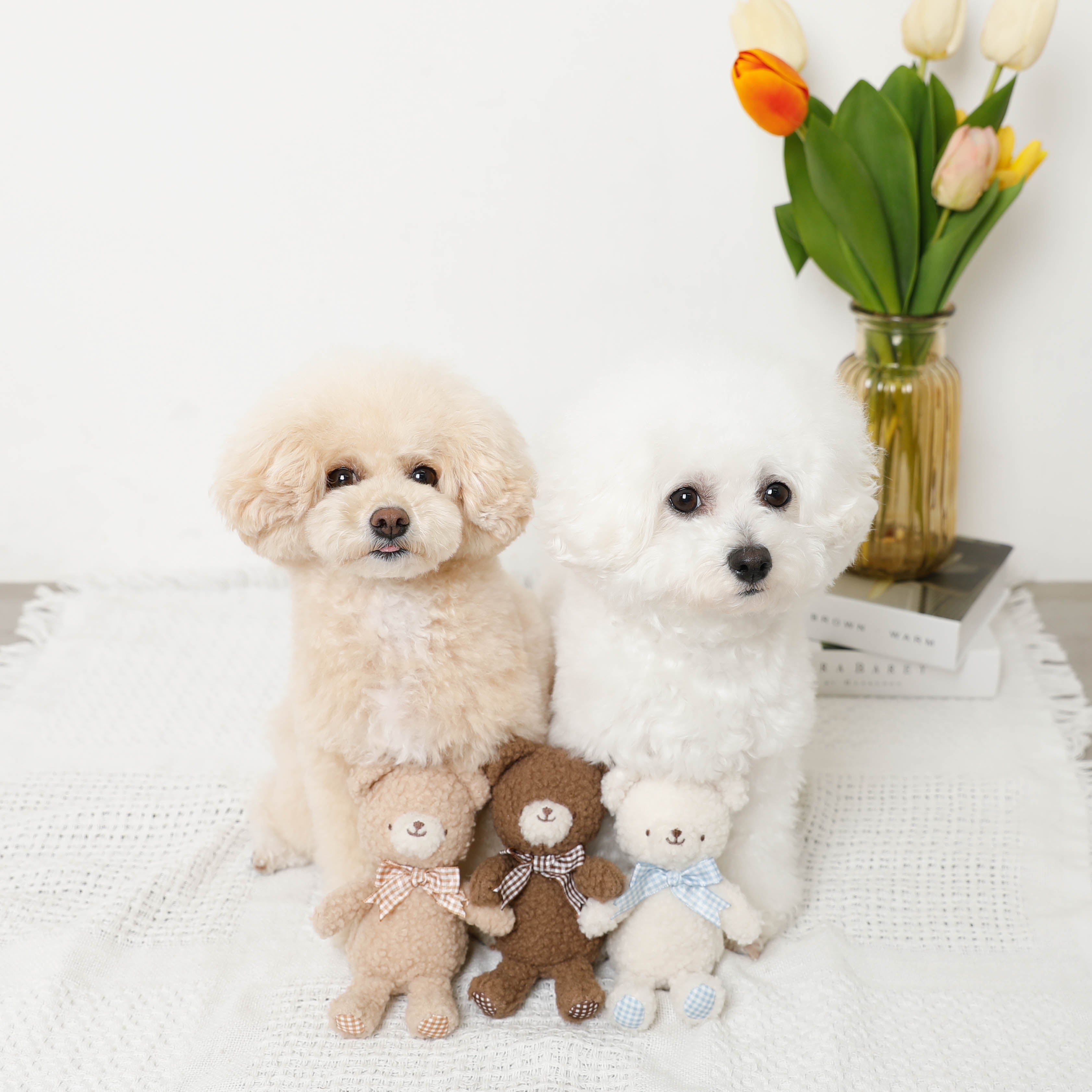 Bear Gingham Check Ribbon Plush Toy
