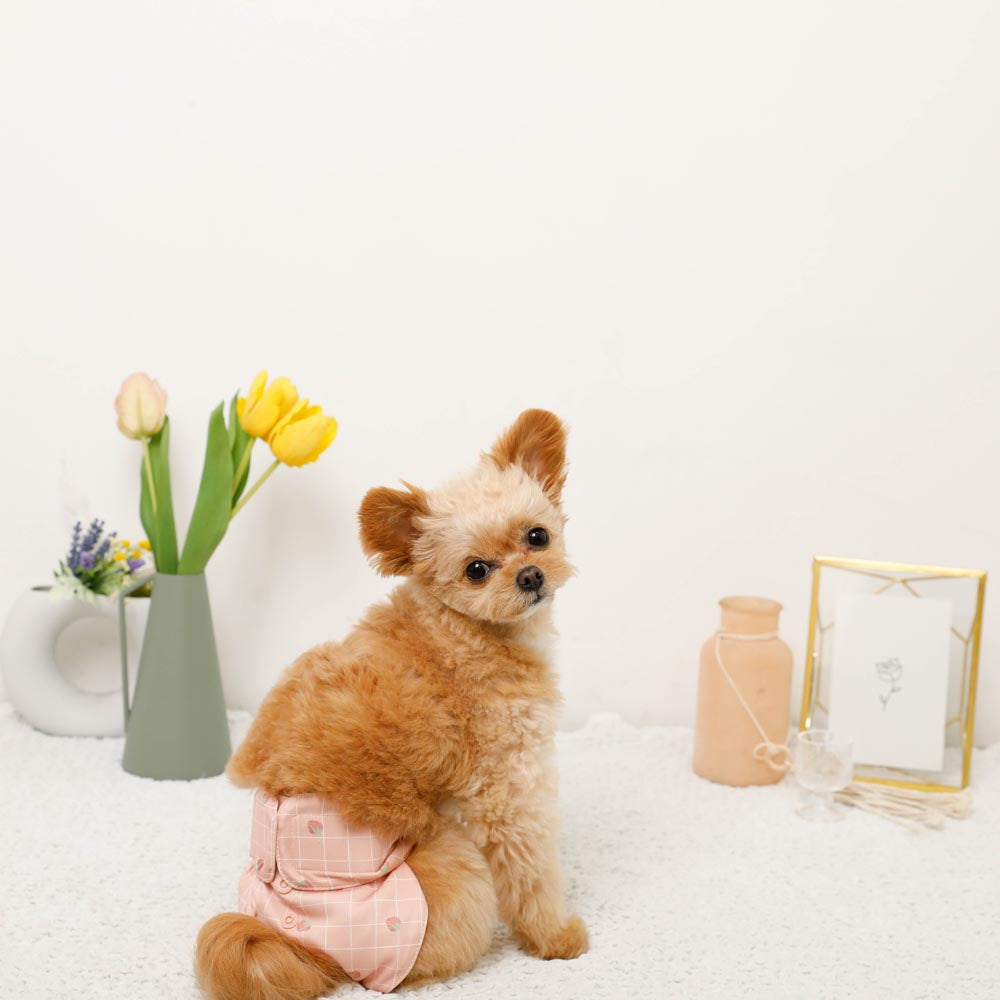 Strawberry plaid sanitary pants
