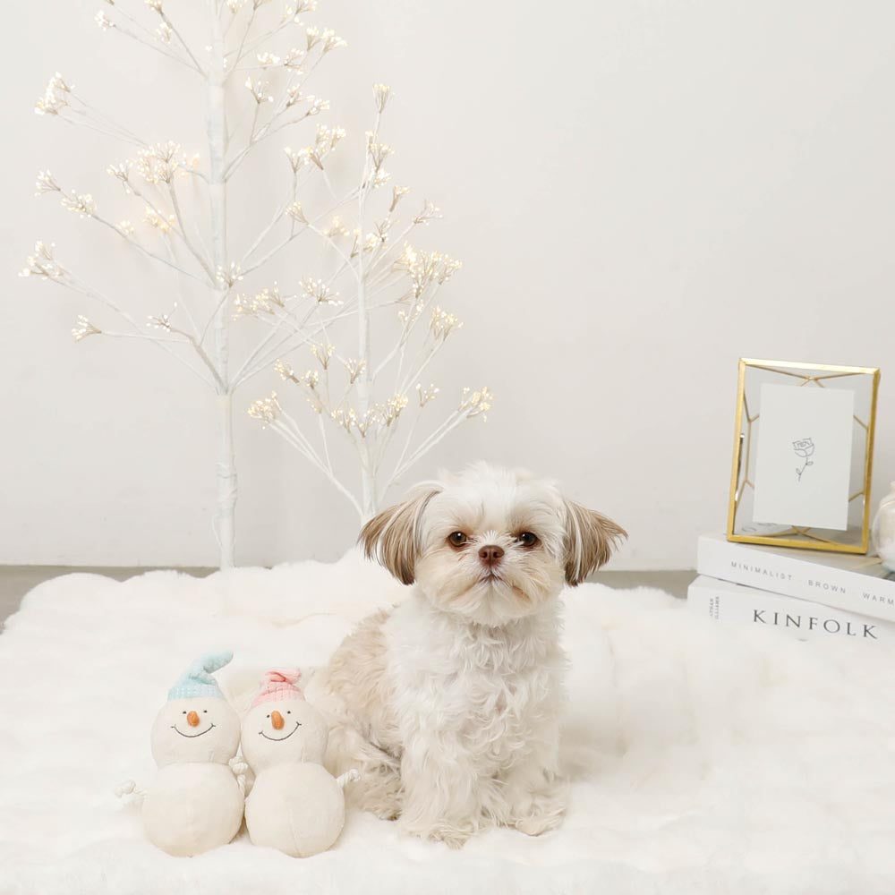 Dental Rope Mini Snowman Plush Set