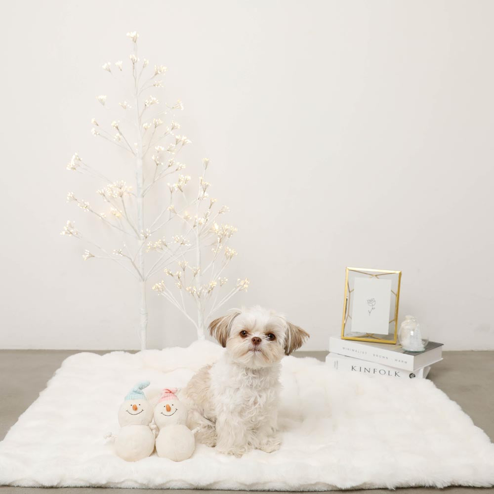 Dental Rope Mini Snowman Plush Set