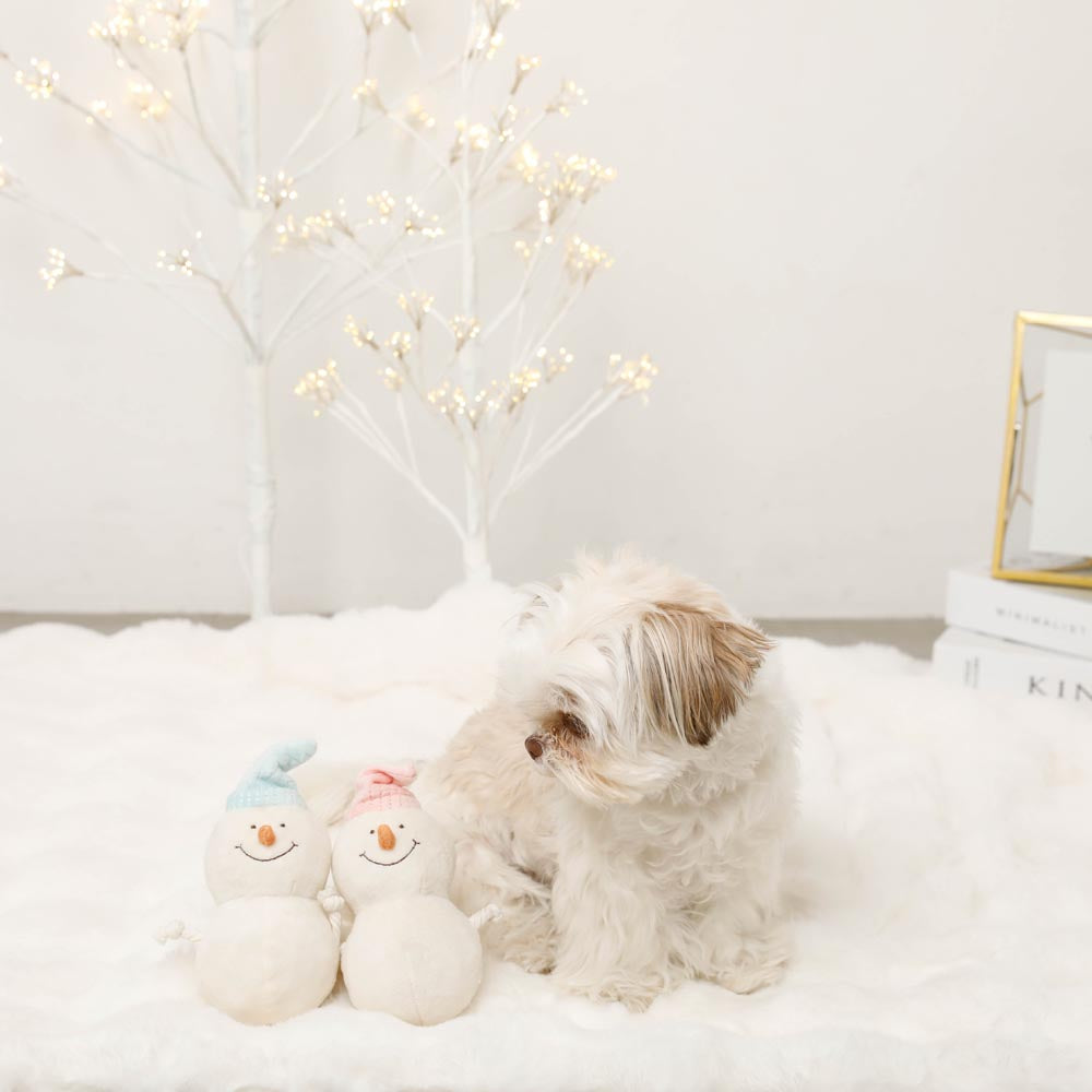 Dental Rope Mini Snowman Plush Set