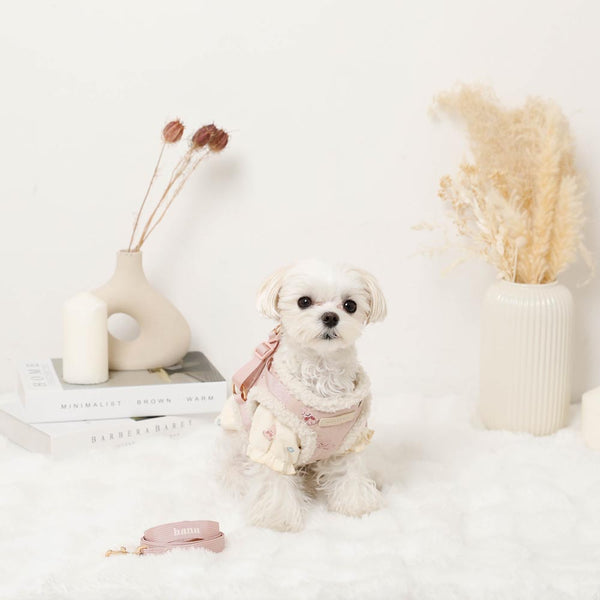 うさぎ柄ハーネス+リードSET【名入れ刺繍対応】