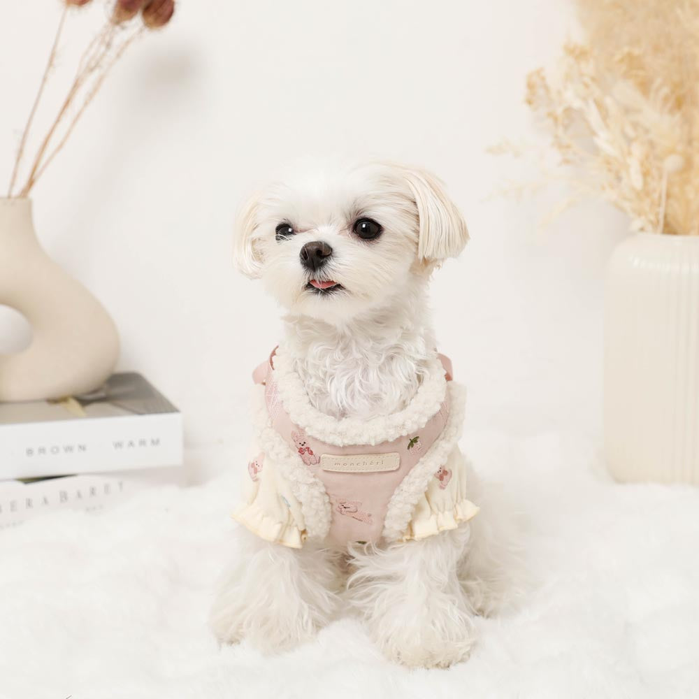 Rabbit pattern harness + lead set [Name embroidery available]