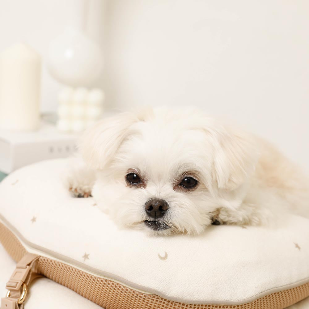 星星和月亮图案带绒毛口袋的宠物车垫枕