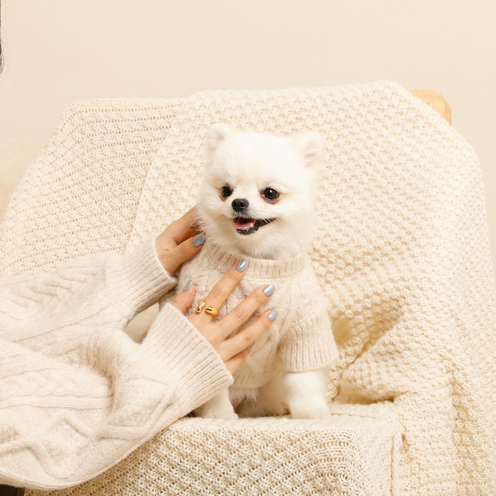 ケーブルアラン編みニット（愛犬ちゃん用）