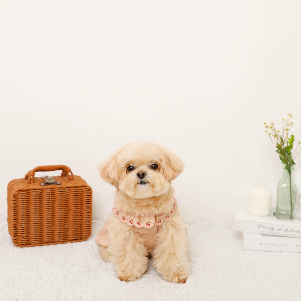 Cool cherry embroidery collar frill dress