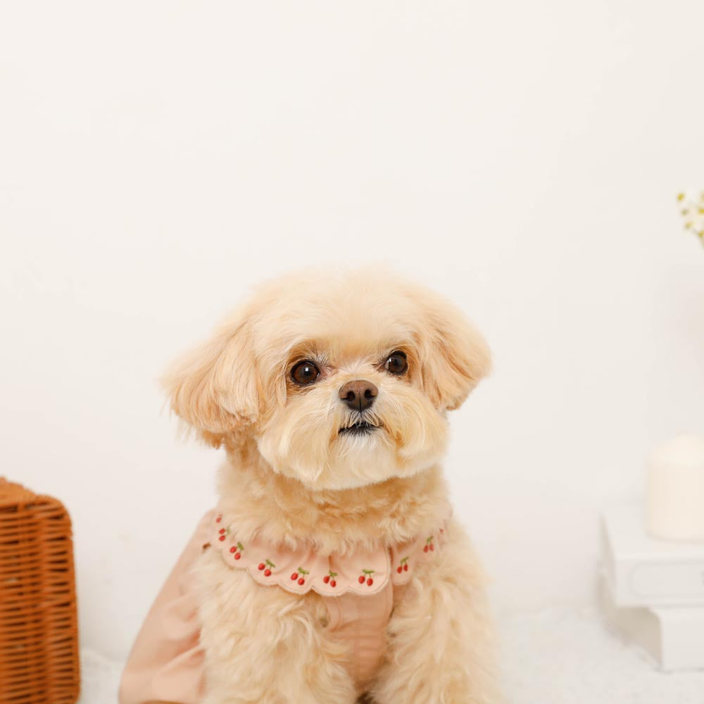 Cool cherry embroidery collar frill dress