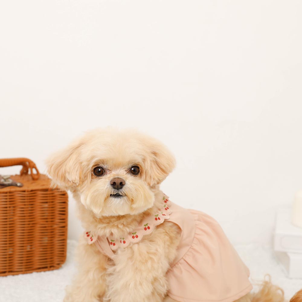 Cool cherry embroidery collar frill dress