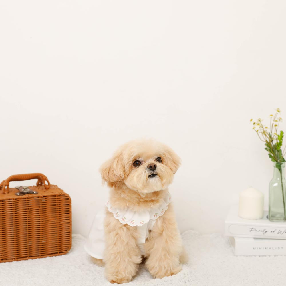 Cool cherry embroidery collar frill dress