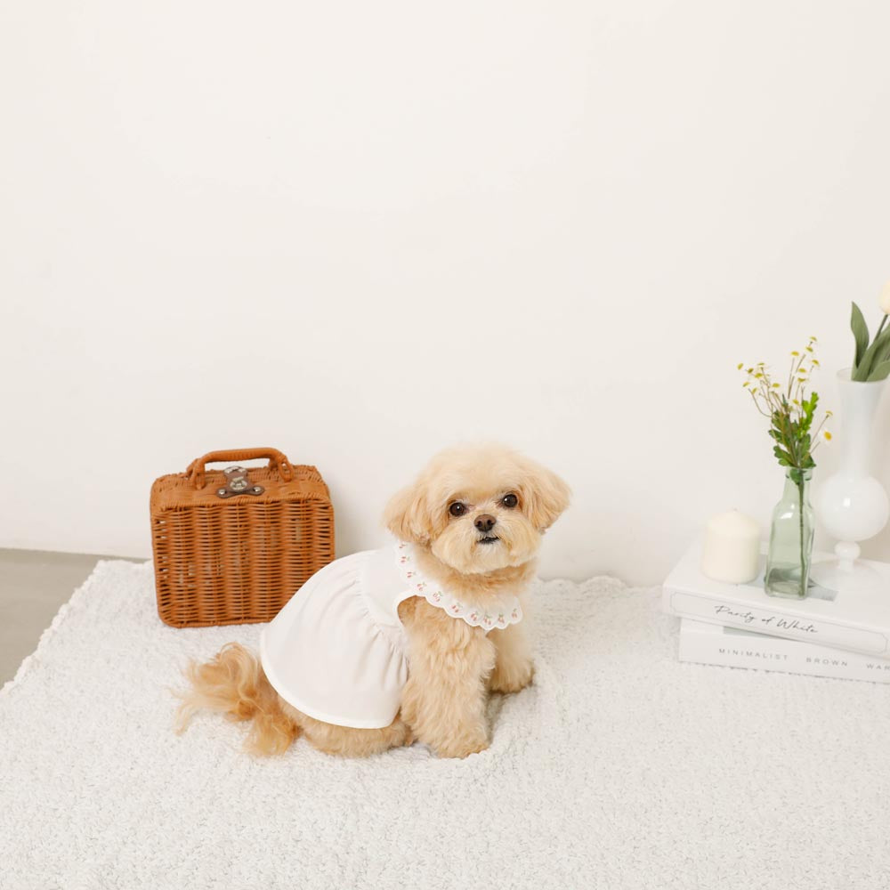 Cool cherry embroidery collar frill dress