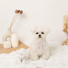 白色毛绒狗