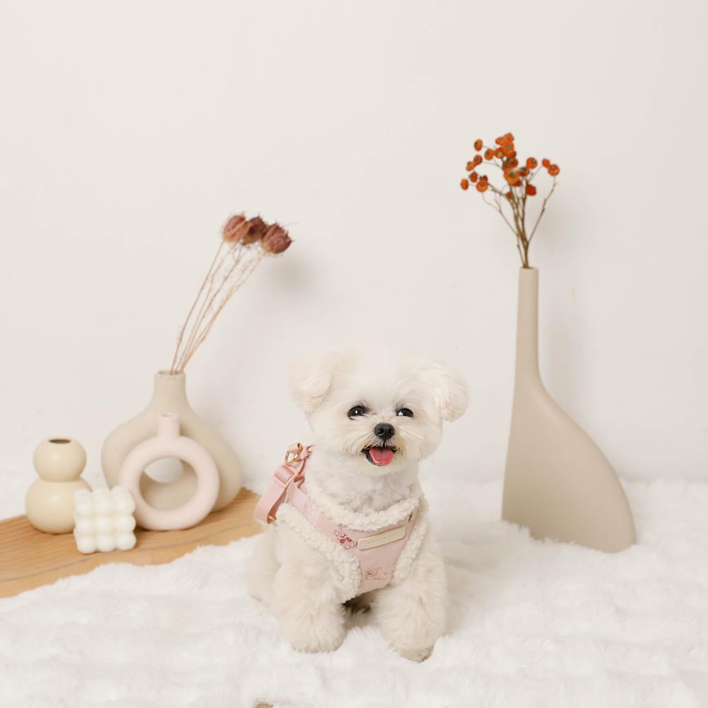 Rabbit pattern harness + lead set [Name embroidery available]
