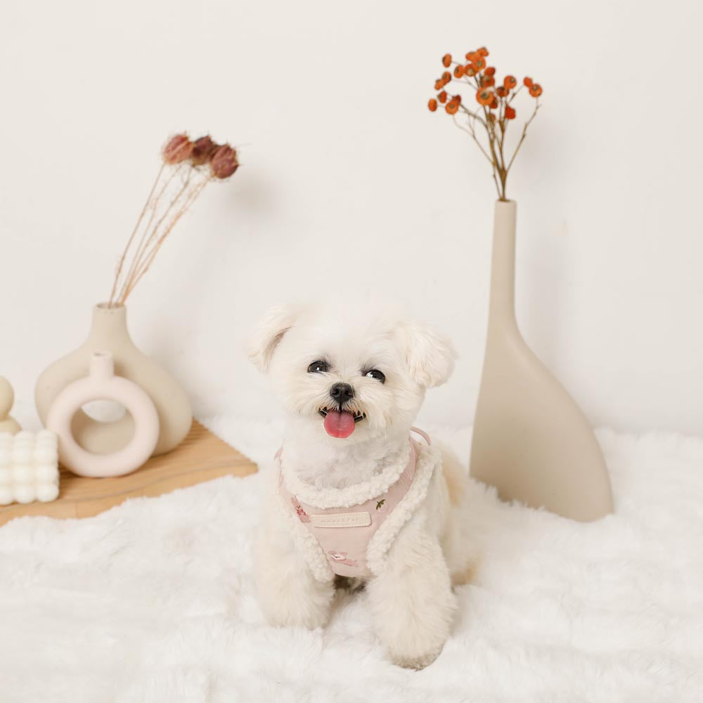 Rabbit pattern harness + lead set [Name embroidery available]