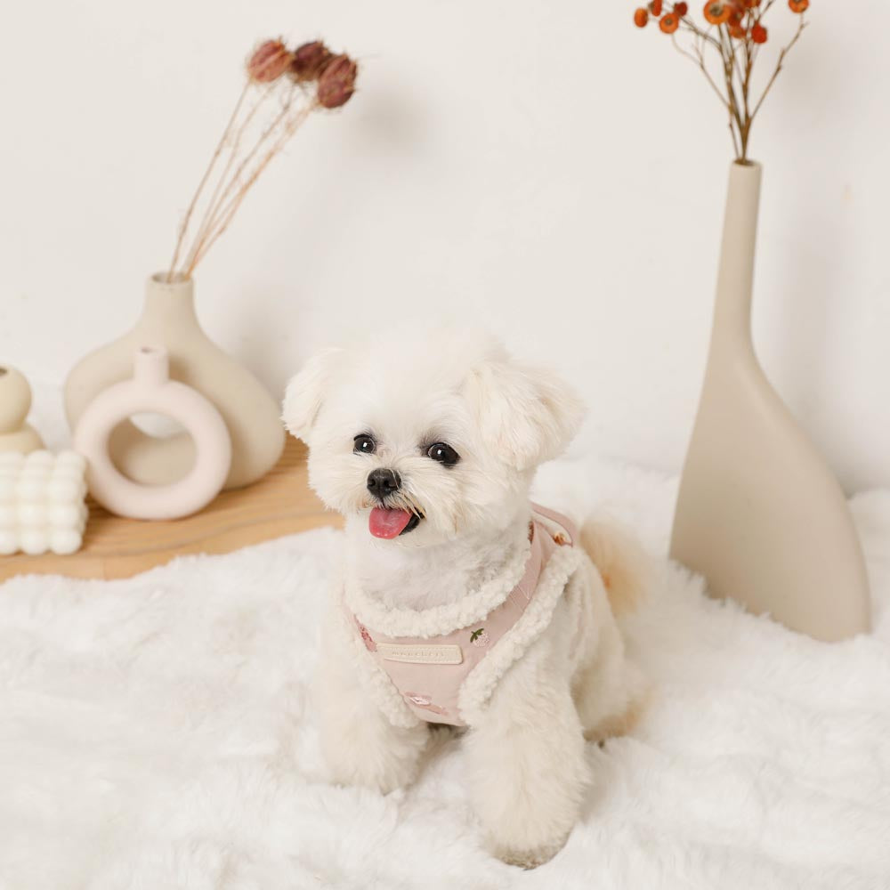 Rabbit pattern harness + lead set [Name embroidery available]