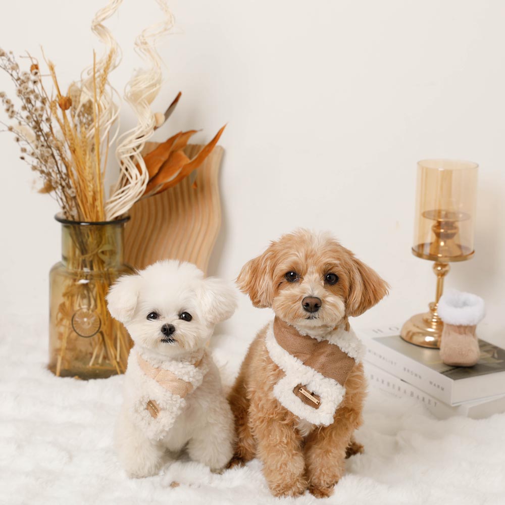 Mouton muffler [Compatible with name embroidery]