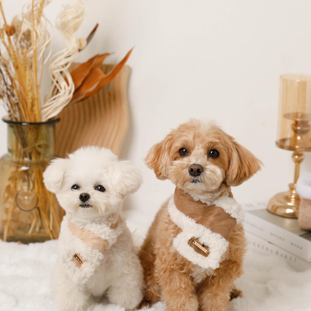 Mouton muffler [Compatible with name embroidery]