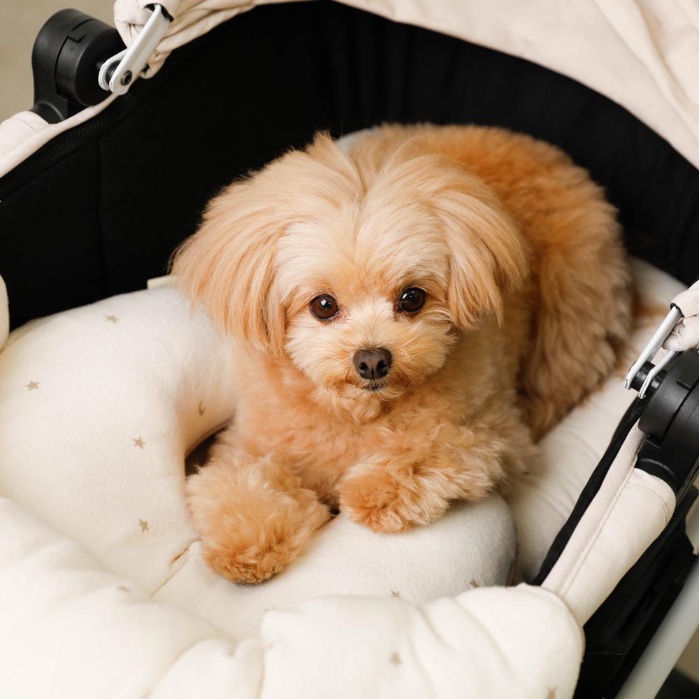 星星和月亮图案带绒毛口袋的宠物车垫枕