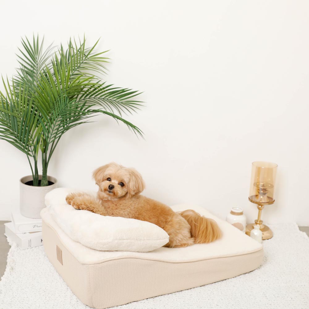 Slope cushion bed with memory foam pillow