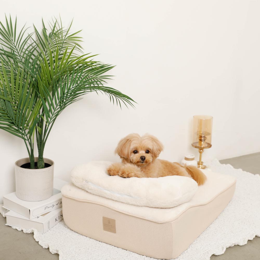 Slope cushion bed with memory foam pillow