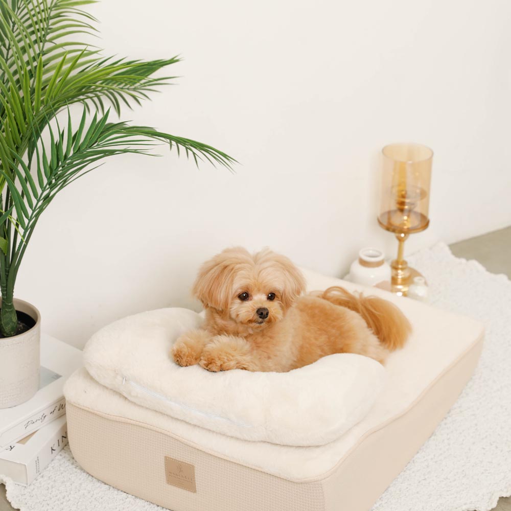 Slope cushion bed with memory foam pillow