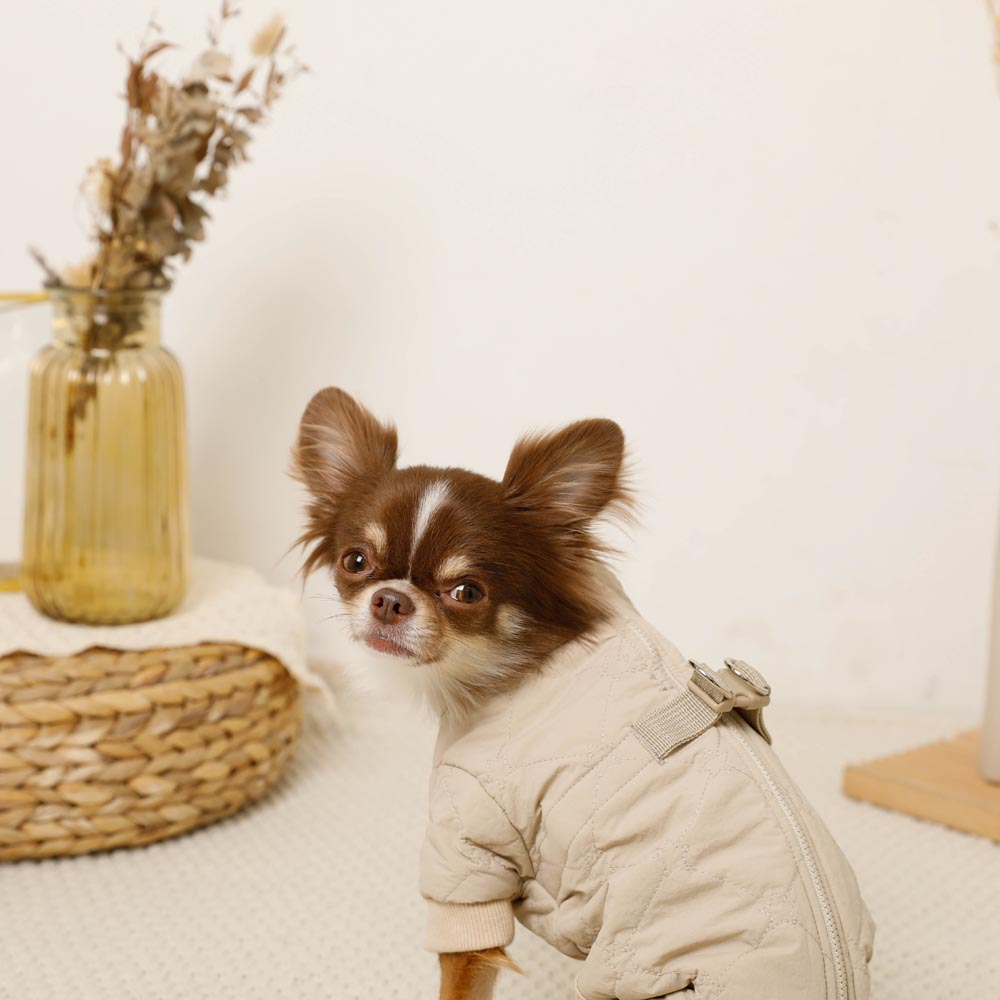 Star pattern quilted romper harness