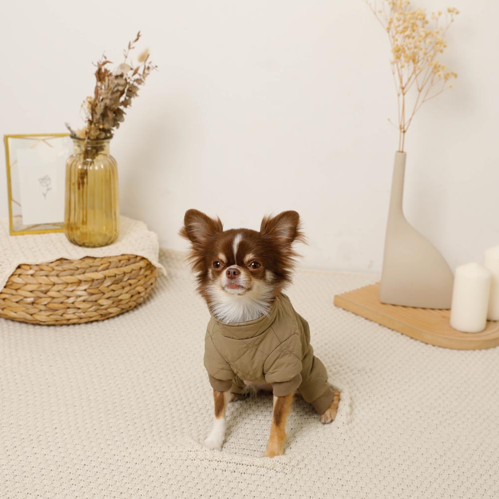 Star pattern quilted romper harness