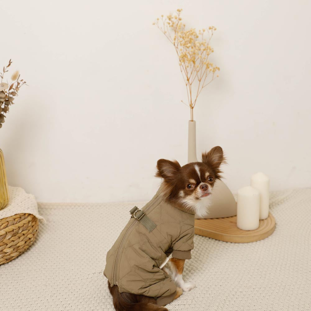 Star pattern quilted romper harness