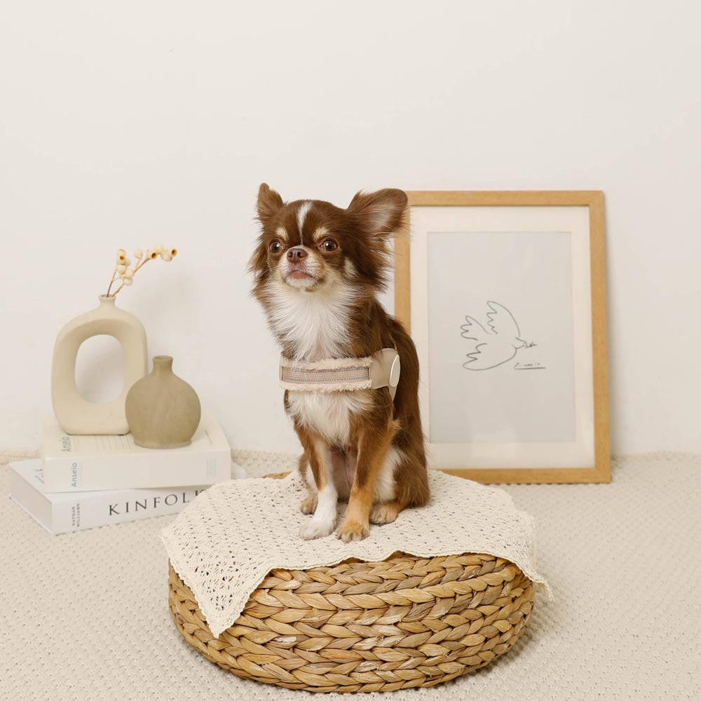 ボアコンビハーネス＋リードSET【名入れ刺繍対応】