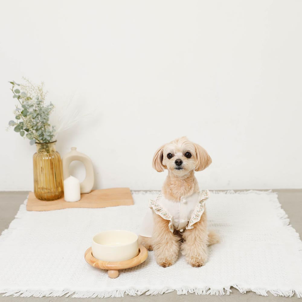 Wood ball base single food bowl