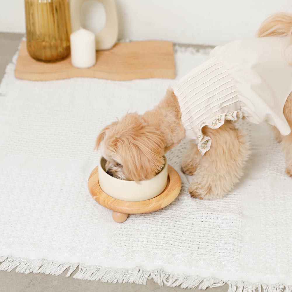 Wood ball base single food bowl
