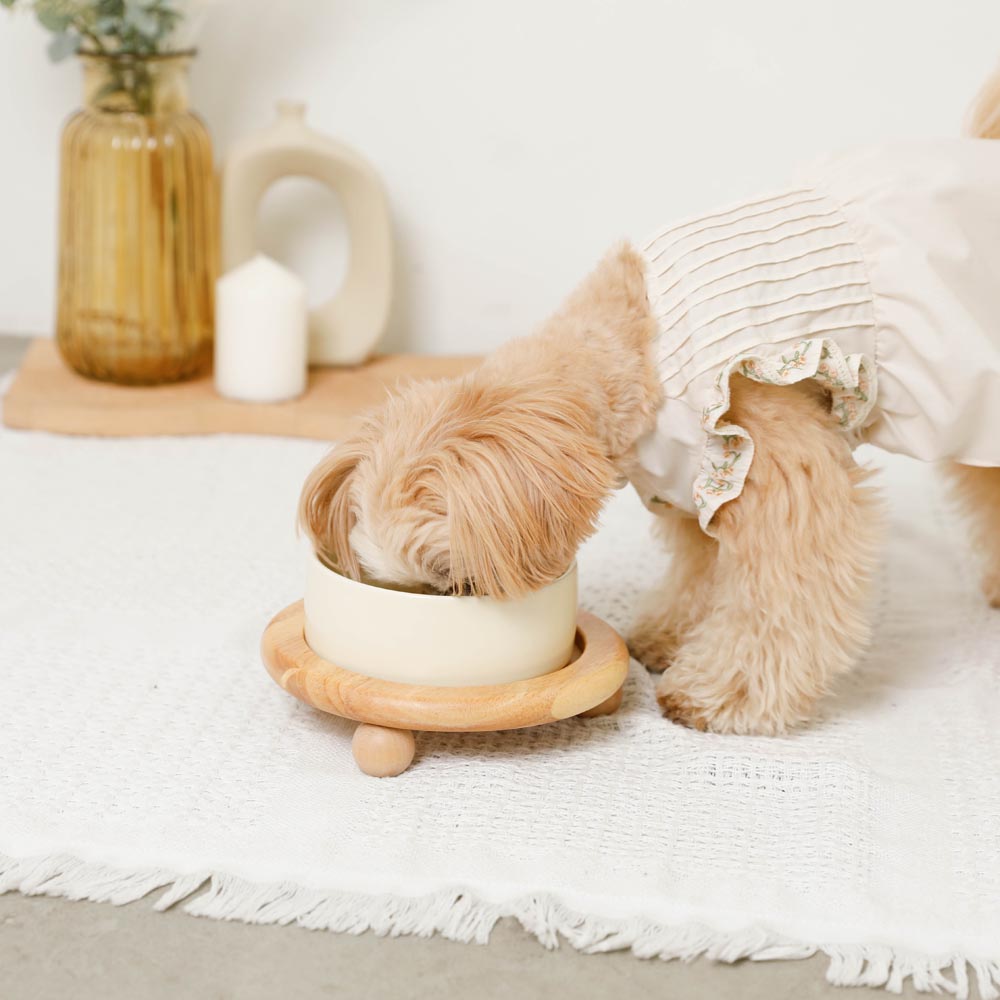 Wood ball base single food bowl