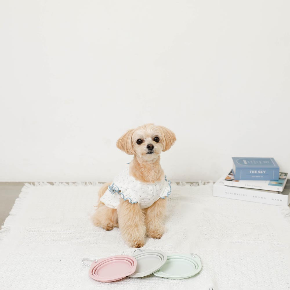 Foldable color silicone food bowl with hook