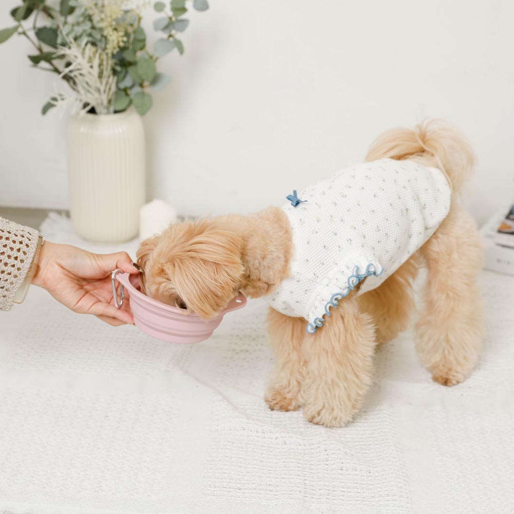 Foldable color silicone food bowl with hook