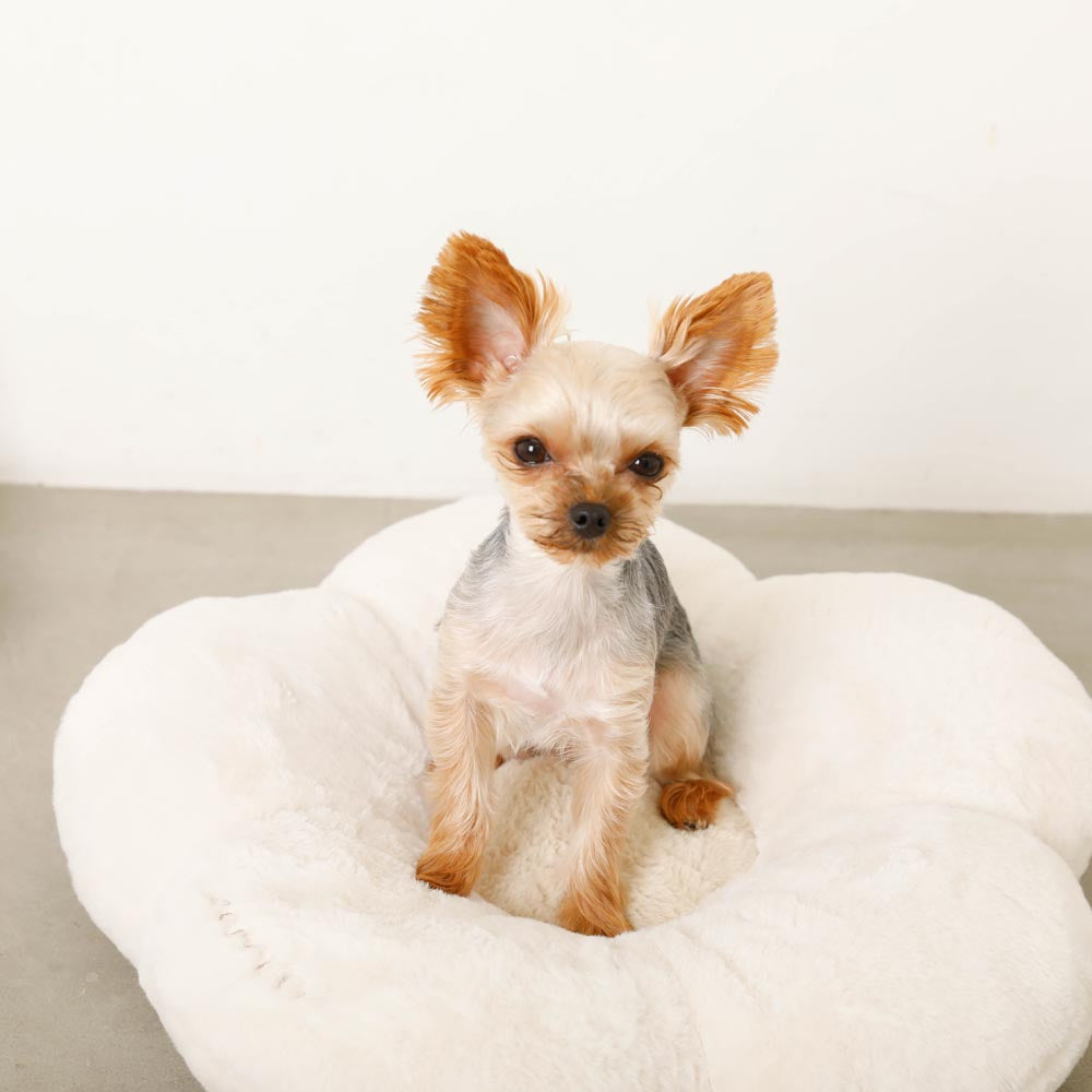 flower fur cushion bed