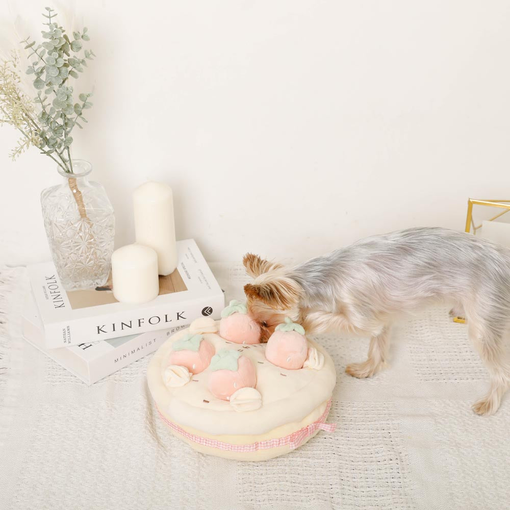 strawberry whole cake nose work toy