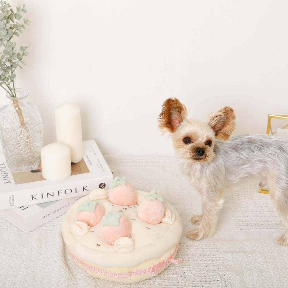 strawberry whole cake nose work toy