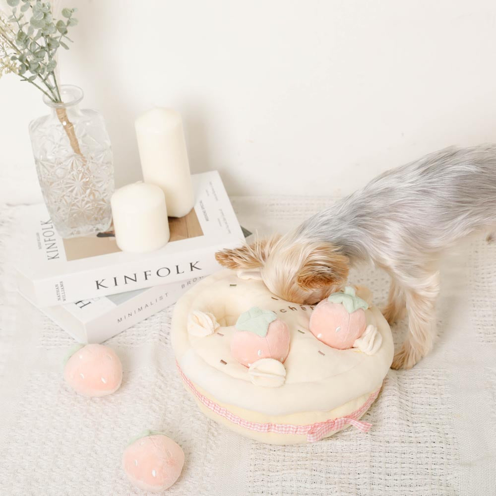 strawberry whole cake nose work toy
