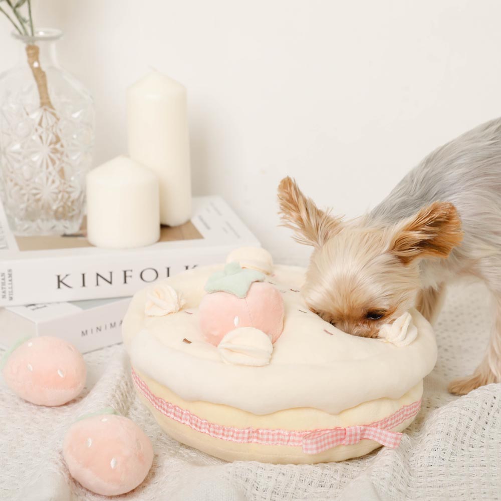 strawberry whole cake nose work toy