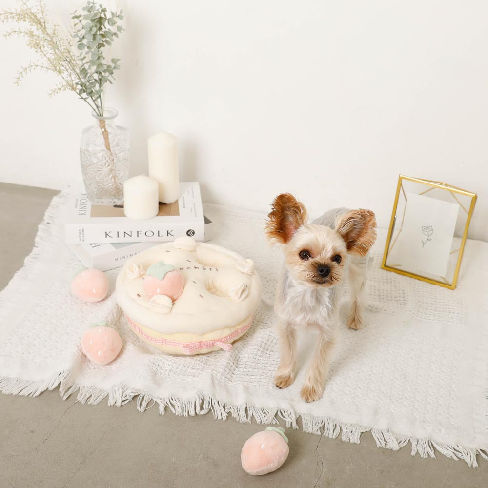 strawberry whole cake nose work toy