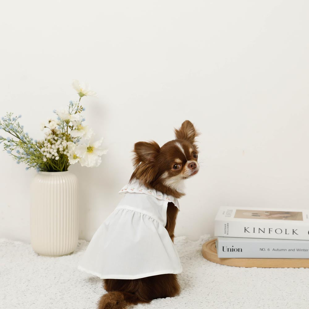 Cool cherry embroidery collar frill dress