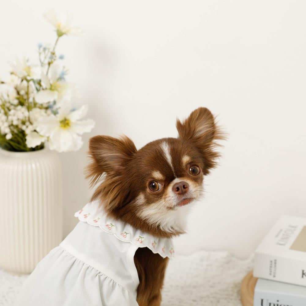 Cool cherry embroidery collar frill dress