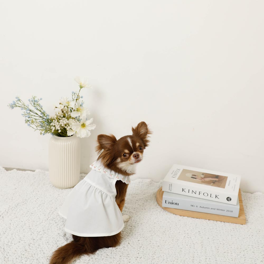Cool cherry embroidery collar frill dress