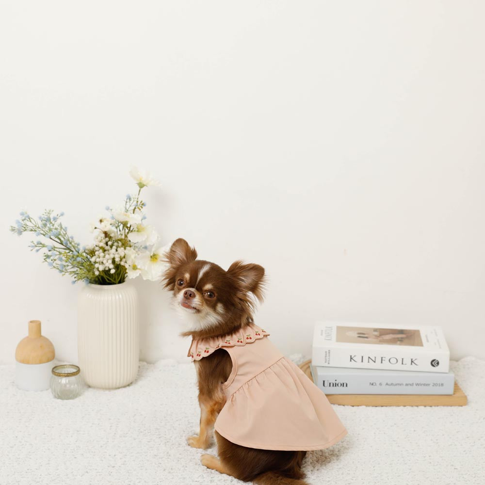 Cool cherry embroidery collar frill dress